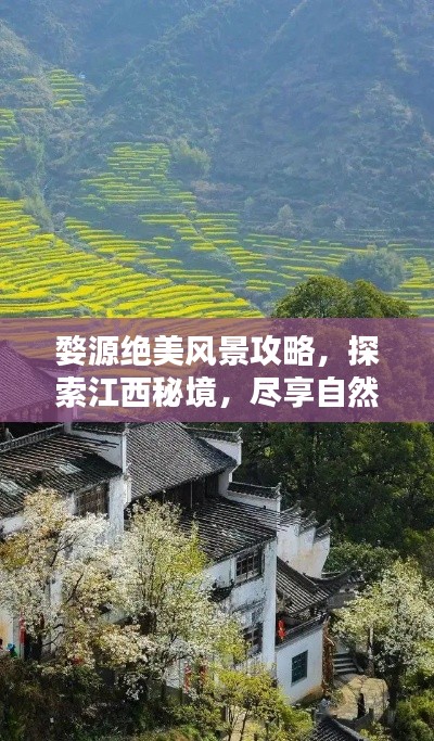 婺源绝美风景攻略，探索江西秘境，尽享自然盛宴！