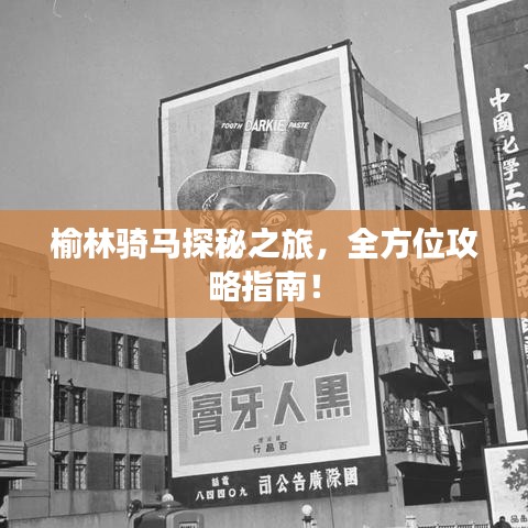 榆林骑马探秘之旅，全方位攻略指南！